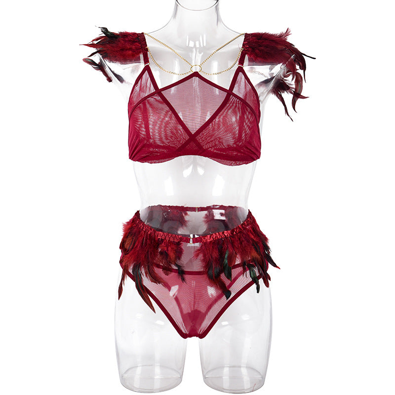 Fire Brick Sheer Mesh Bra and Panty Set with Feather Front View