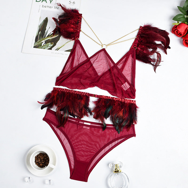 Fire Brick Sheer Mesh Bra and Panty Set with Feather Over View