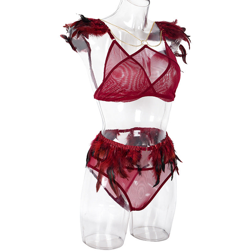 Fire Brick Sheer Mesh Bra and Panty Set with Feather SideView